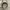 Nike Streetwear Sportswear Hat Pria tan photo 5