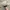 Nike Streetwear Sportswear Hat Pria tan photo 4