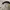 Nike Streetwear Sportswear Hat Pria tan photo 6