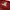 Tultex Vintage Y2K T-shirt Pria red photo 3