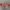 FUBU Vintage Streetwear Belt Pria Silver Red
