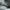 Adidas Minimalist Casual Sneakers Pria white photo 4