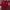Burberry Streetwear Casual Polo shirt Pria red photo 1
