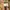 Momotaro Streetwear Casual Casual pants Pria tan photo 7