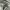 Stussy Streetwear Skater Hoody Pria white gray photo 5