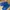 Lee Streetwear Y2K Pria Blue