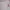 Dickies Luxury Futurist Hoody Pria green gray photo 2