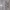 Dickies Luxury Futurist Hoody Pria green gray photo 3