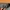 Adidas Streetwear Sportswear Sweatpants & Joggers Pria orange gray photo 6