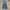 OOTJ Vintage Casual Jeans Pria navy photo 7