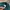 GU Minimalist Casual Formal pants Pria green photo 6