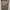Carhartt Streetwear Casual Short Pria tan khaki photo 4