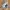 Luxury Summer dress Wanita multicolor photo 1