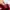 Hollister Luxury Casual Bags & purse Wanita red pink photo 4