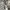 Mardi Mercredi Luxury Sweater Wanita gray photo 3
