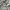 Maison Kitsuné Luxury Sweater Wanita gray photo 3