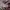 Arc'teryx Streetwear Hat Pria purple photo 2