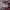 Arc'teryx Streetwear Hat Pria Purple