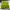 Columbia Streetwear Hat Pria navy yellow photo 3