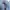 Blue Blue Japan Vintage Casual Jeans Pria blue photo 5