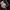 Fred Perry Luxury Casual Polo shirt Pria multicolor burgundy photo 4