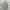Adidas Casual Hoody Kids green gray photo 1