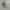 Nike Casual Hoody Pria gray photo 4