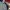 MLB Streetwear Sportswear Bomber jacket Pria navy gray photo 4