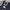 MLB Streetwear Sportswear Bomber jacket Pria navy gray photo 8