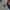 MLB Streetwear Sportswear Bomber jacket Pria navy gray photo 6