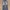 Red Pepper Vintage Jeans Pria white navy photo 1