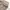 Issey Miyake Vintage Casual Short Pria tan photo 7