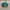 Adidas Casual Sneakers Pria green photo 1