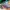 Adidas Casual Sneakers Pria green photo 6