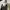 Casual Hoody Pria white black photo 4