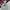 Adidas Streetwear Y2K Pria multicolor photo 1