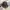 Made in USA Streetwear Y2K Hat Pria tan navy photo 5