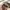 Made in USA Streetwear Y2K Hat Pria tan navy photo 3