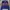 Stussy Streetwear Casual Polo shirt Pria multicolor photo 1