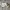 Nike Casual Sneakers Pria white black photo 1