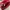 Marc Jacobs Luxury Casual Bags & purse Wanita red photo 4