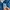 KIRSH Luxury Casual Sweater Wanita blue photo 4