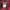 Baracuta Casual Harrington jacket Pria burgundy photo 7