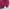 Baracuta Casual Harrington jacket Pria burgundy photo 3