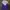 Adidas Sportswear Windbreaker Pria purple white photo 2