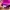 Smiggle Fairy Casual Bags & purse Wanita pink photo 4