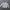 Reebok Casual Sweater Pria white photo 6