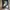 Puma Sportswear Sneakers Pria green yellow photo 5