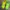Puma Sportswear Sneakers Pria green yellow photo 2