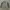 MLB Casual Sweater Pria gray photo 5